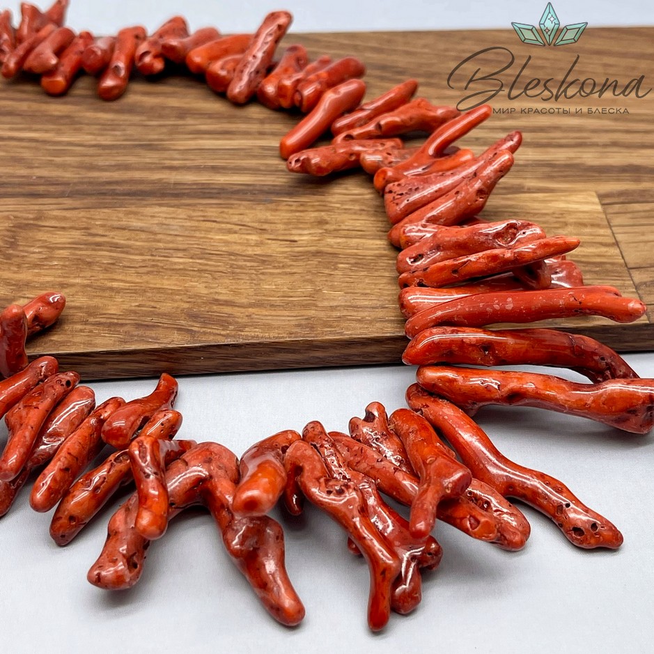 Коралл коричневый ветки на увеличение (Коралловые водоросли) 10-65 мм