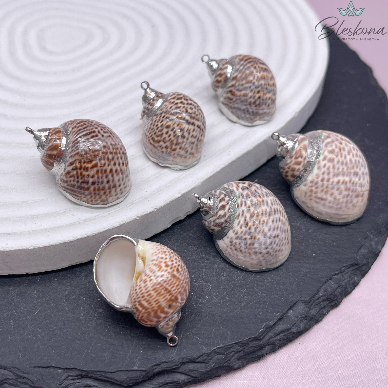 (27-33)*(20-23) мм Цвет серебро, Подвеска Ракушка леопардовая