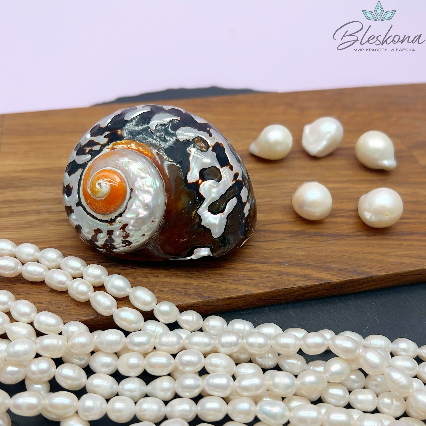 Морская раковина Турбо африканская  7 см 