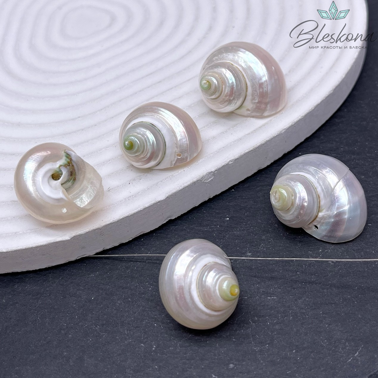 (21-25)*(16-20) мм, Подвеска Ракушка улитка белая