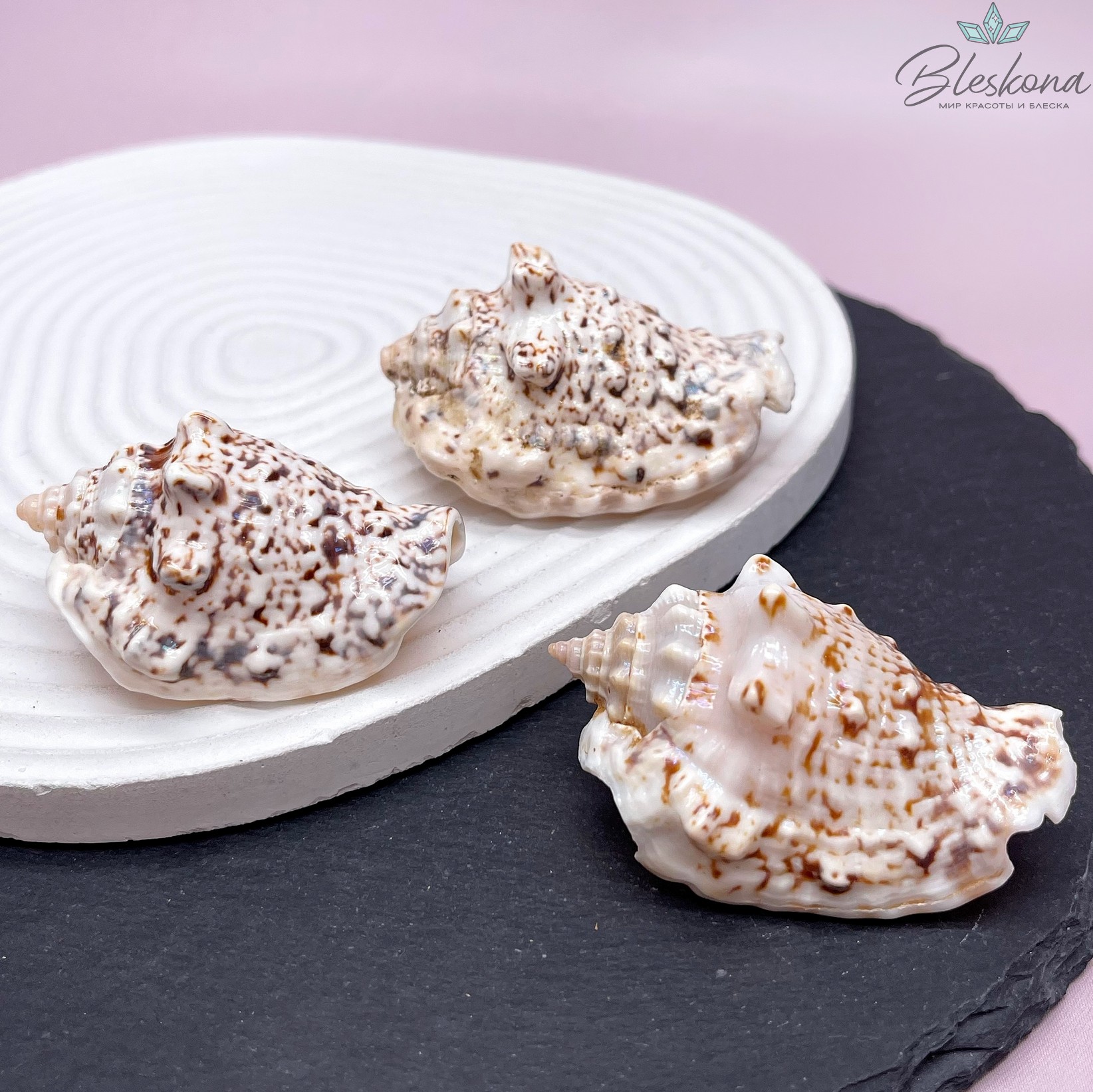 (48-60)*(32*38) мм, Подвеска ракушка