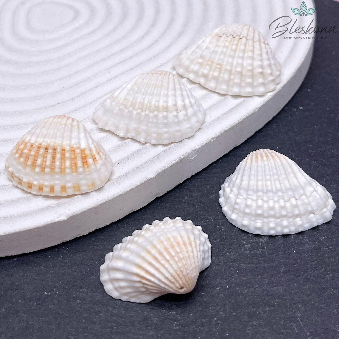 (21-25)*(27-33) мм, Подвеска Ракушка белая уп.5 шт 