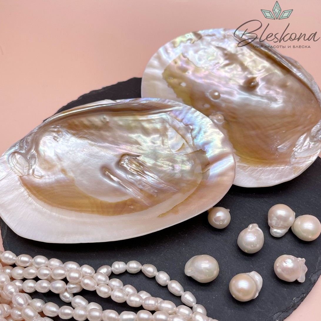 Перламутровая раковина с жемчужинами (10-11)*(14-15) см №1