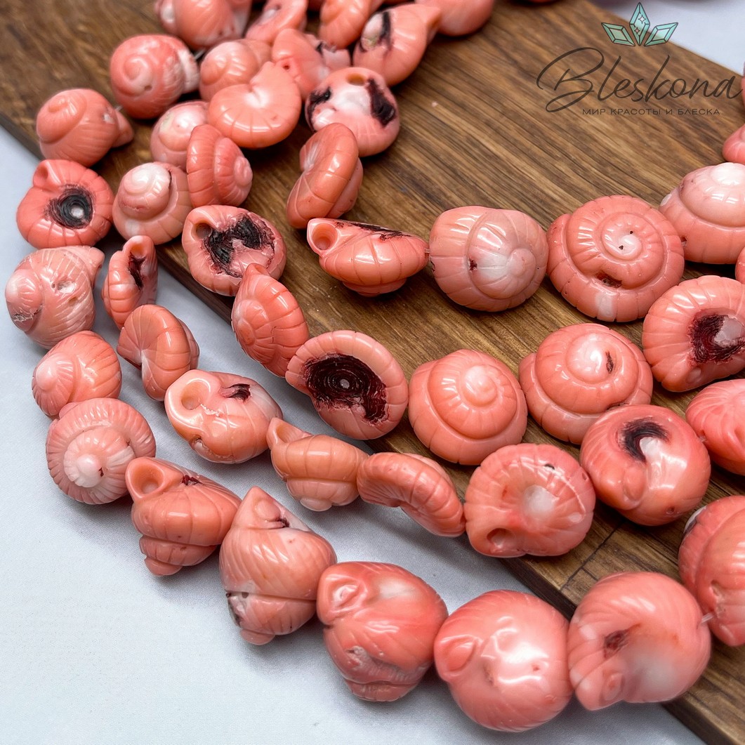 Коралл розовый ракушка (Коралловые водоросли) 20 мм