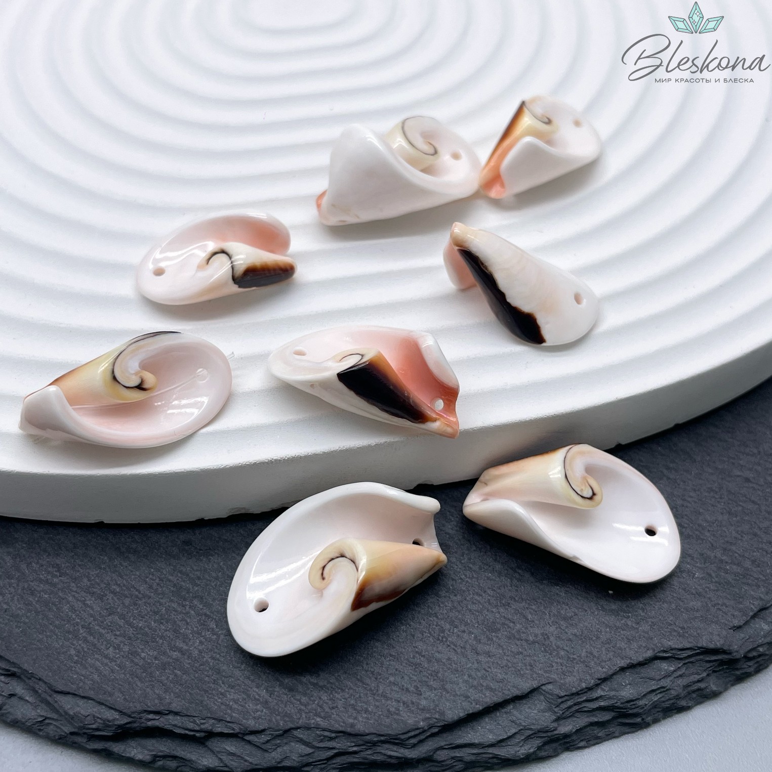 23*12 мм Коннектор- бусина из ракушки