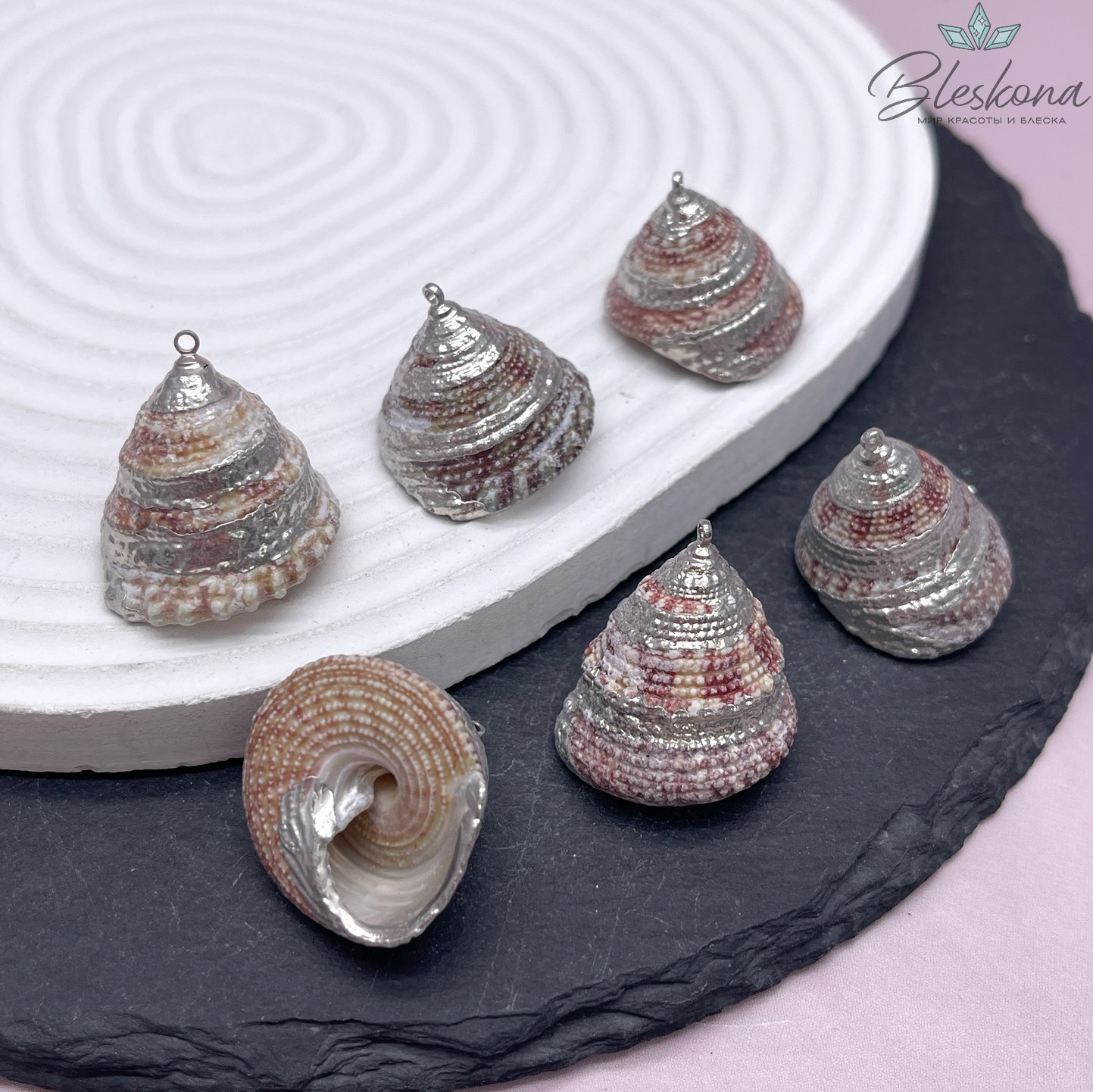 (20-24)*(20-22) мм Цвет серебро, Подвеска Ракушка Трохус бело-бордовая