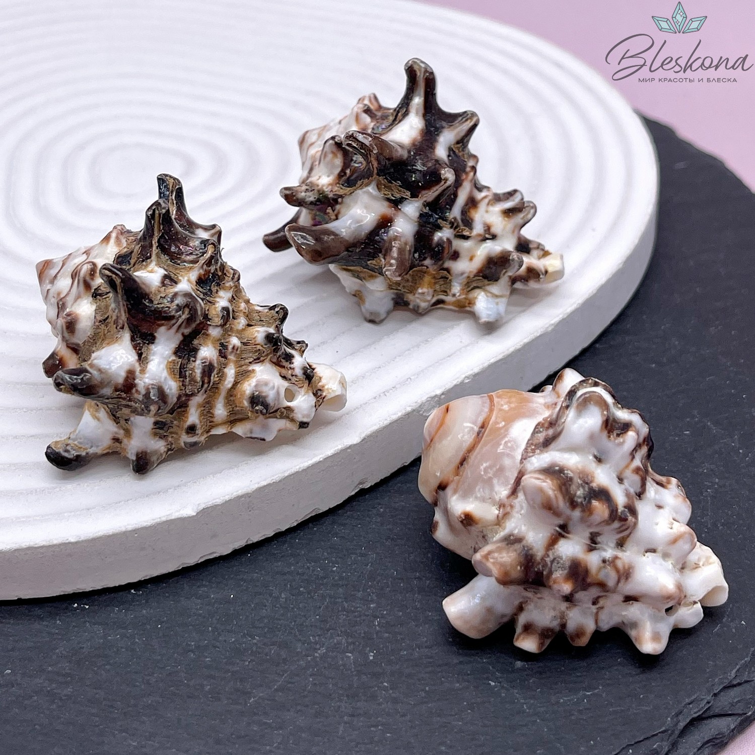 (44-50)*(35*41) мм, Подвеска ракушка