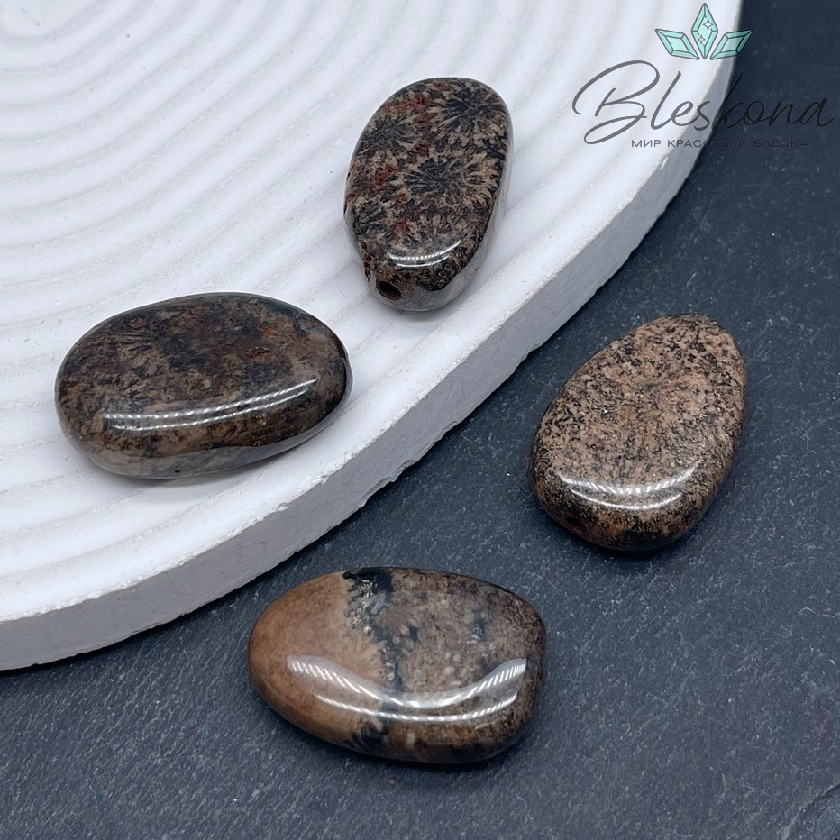 Окаменелый коралл Петоски фриформ №1 (28-29)*20-21) мм штучно