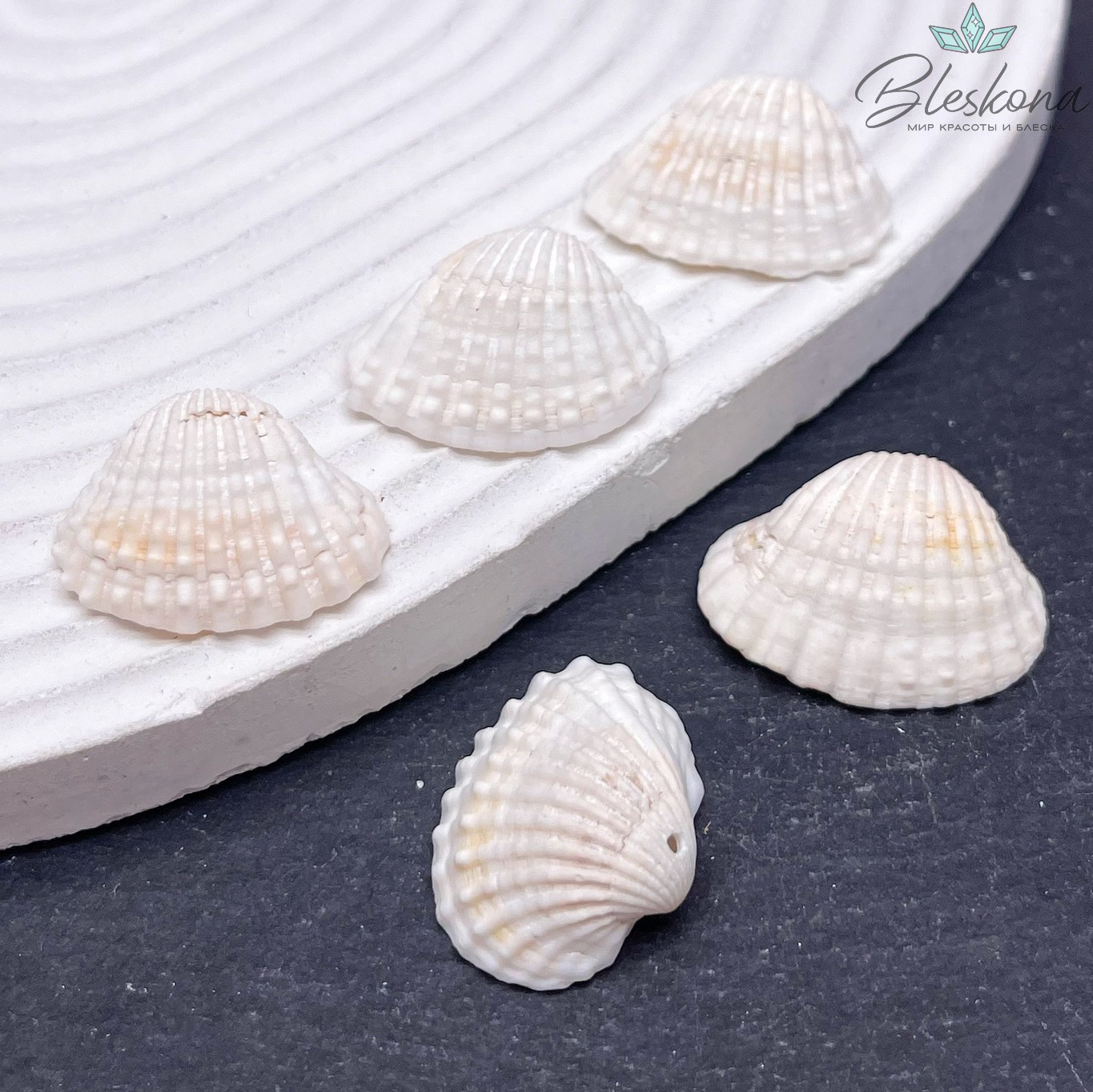 (16-19)*(23-26) мм, Подвеска Ракушка белая уп.5 шт 