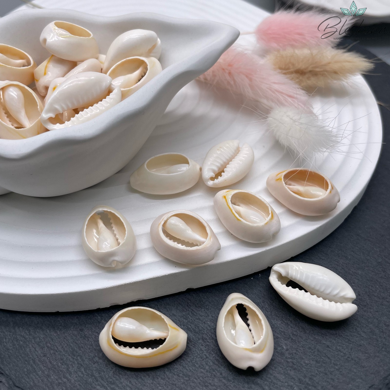 14*20 мм Коннектор- бусина Ракушка Каури