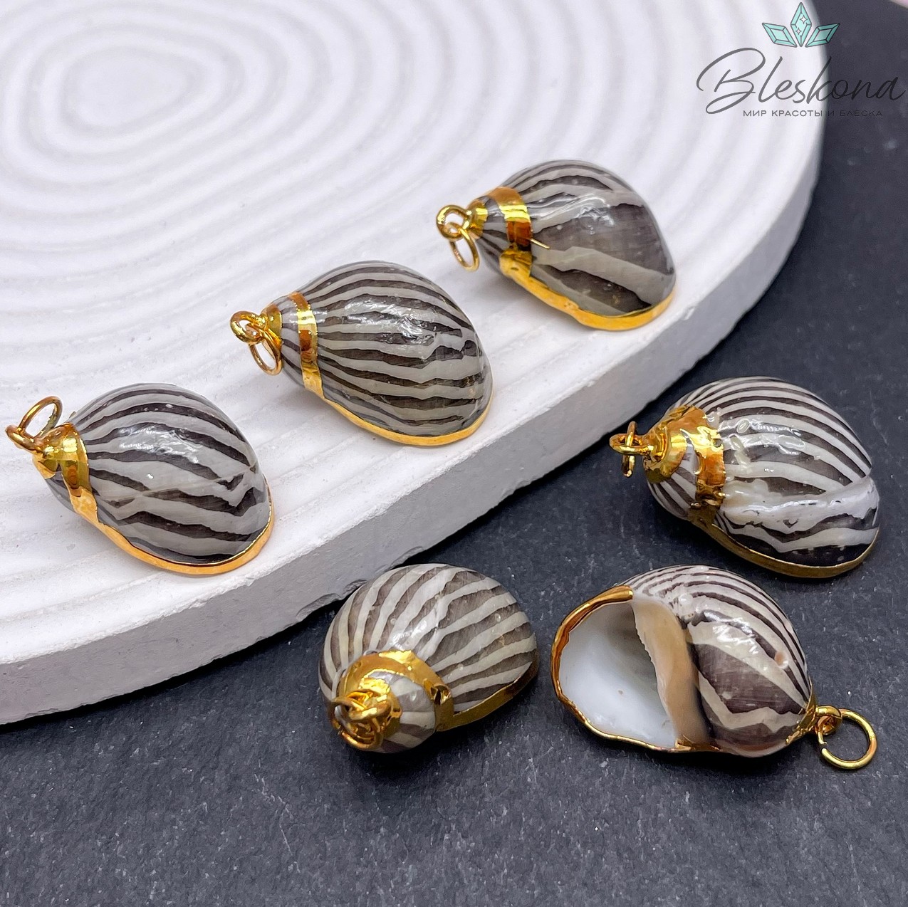 (26-30)*(15-16) мм, Цвет золото, Подвеска Ракушка арбузная