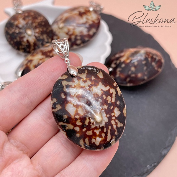 42*35 мм Цвет серебро, Подвеска Ракушка Лимпет