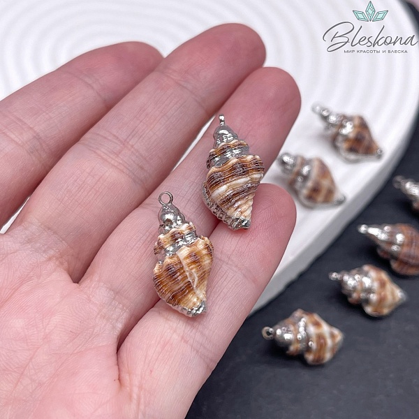 (20-23)*(11-13) мм Цвет серебро, Подвеска ракушка коричневая