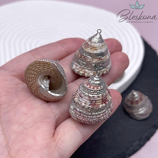 (20-24)*(20-22) мм Цвет серебро, Подвеска Ракушка Трохус бело-бордовая