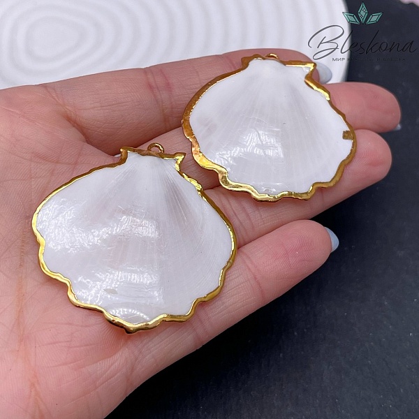 (40-42)*(39-40) мм, Цвет золото, Подвеска Тихоокеанский ситцевый гребешок  белый