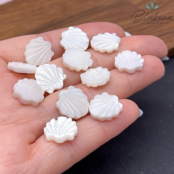 Перламутр белый Ракушка 14*13 мм уп. 5 шт