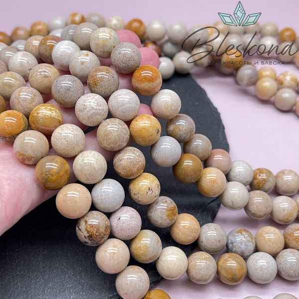 Окаменелый коралл Петоски 12 мм