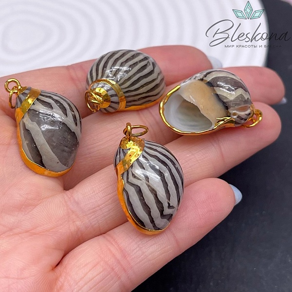 (26-30)*(15-16) мм, Цвет золото, Подвеска Ракушка арбузная