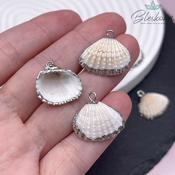 (16-20)*(18-21) мм , Цвет серебро, Подвеска Ракушка белая