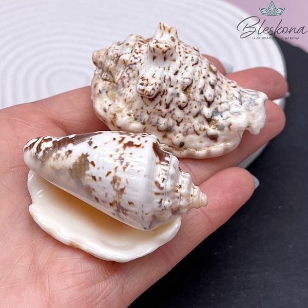 (48-60)*(32*38) мм, Подвеска ракушка