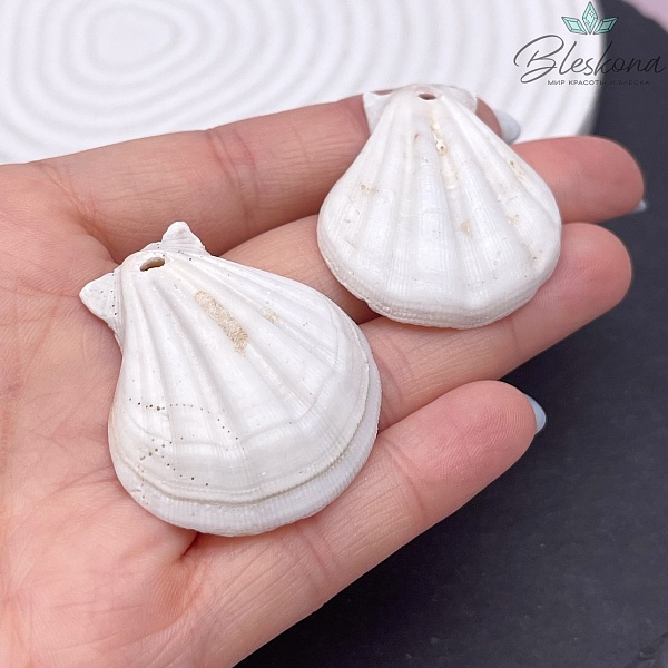 (35-41)*(30-37) мм, Подвеска Ракушка белая