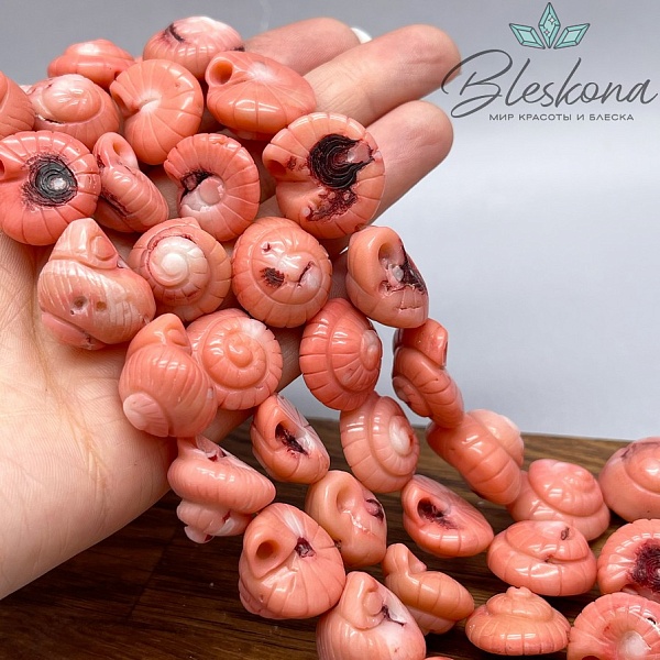 Коралл розовый ракушка (Коралловые водоросли) 20 мм