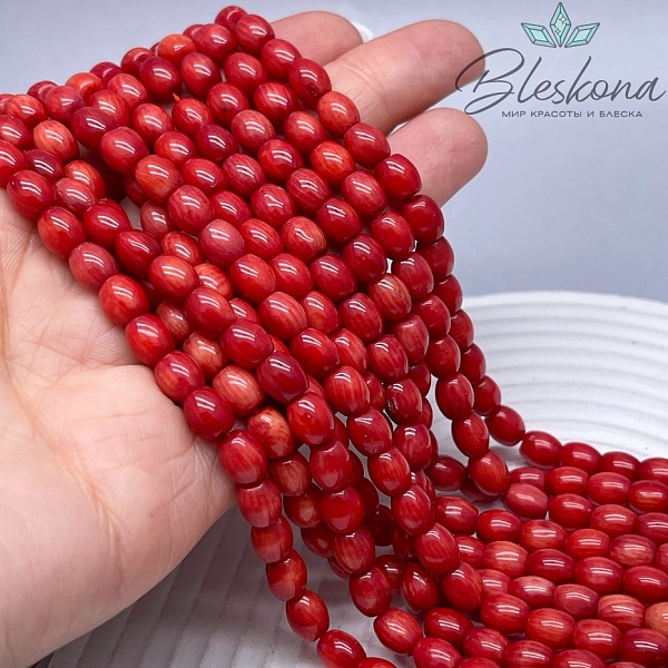 Коралл красный бочата (Коралловые водоросли) 6 мм