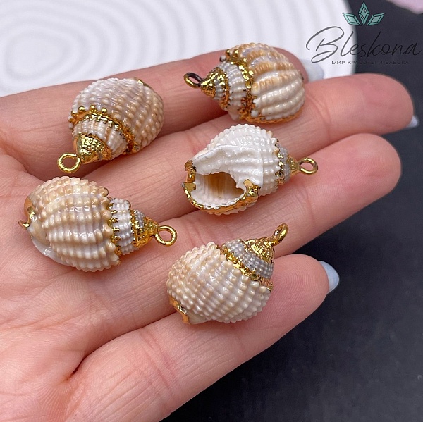 (24-28)*(14-17) мм Цвет золото, Подвеска Ракушка кремовая