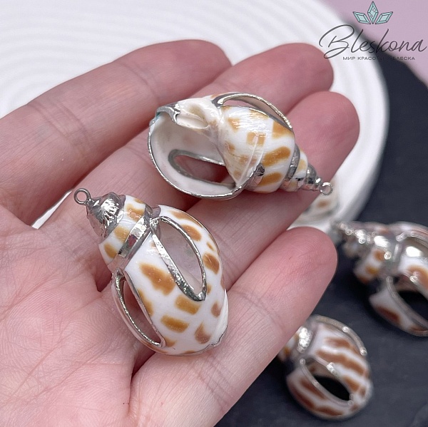 (36-45)*(20-24) мм Цвет серебро, Подвеска Ракушка тигровая с отверстиями