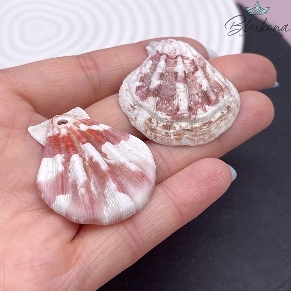 (35-41)*(30-37) мм, Подвеска Ракушка бело-бордовая