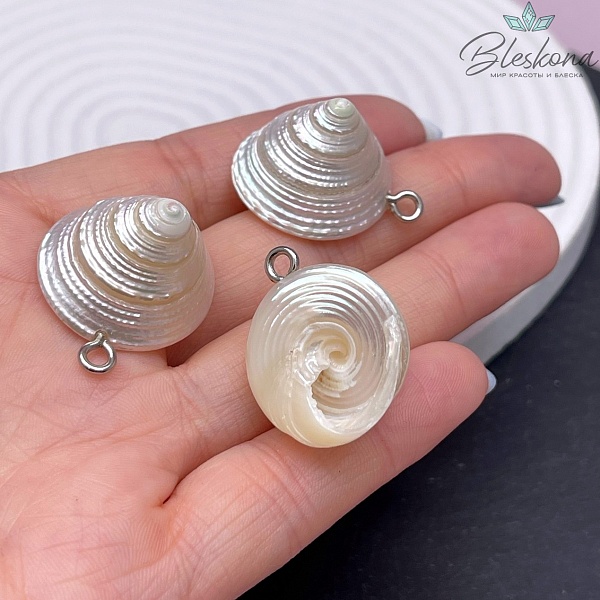 (26-30)*(20-24) мм Цвет Серебро, Подвеска морская ракушка