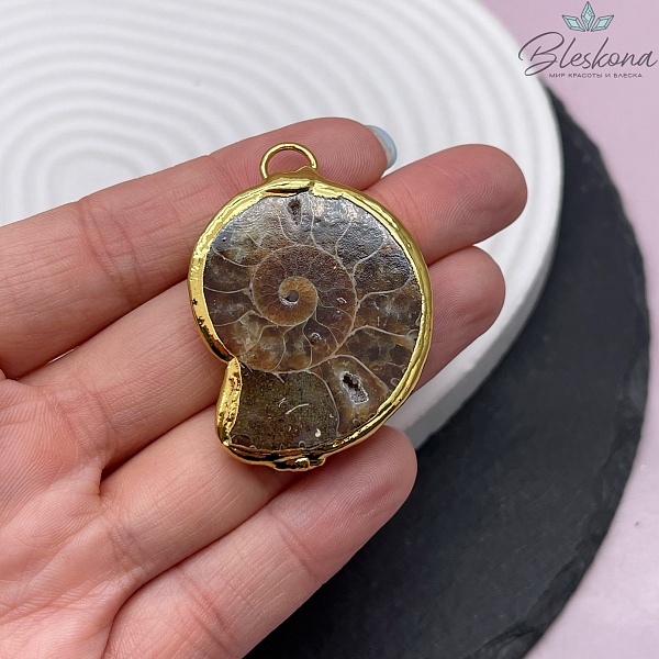 41*29 мм, Цвет золото, Подвеска Аммонит 