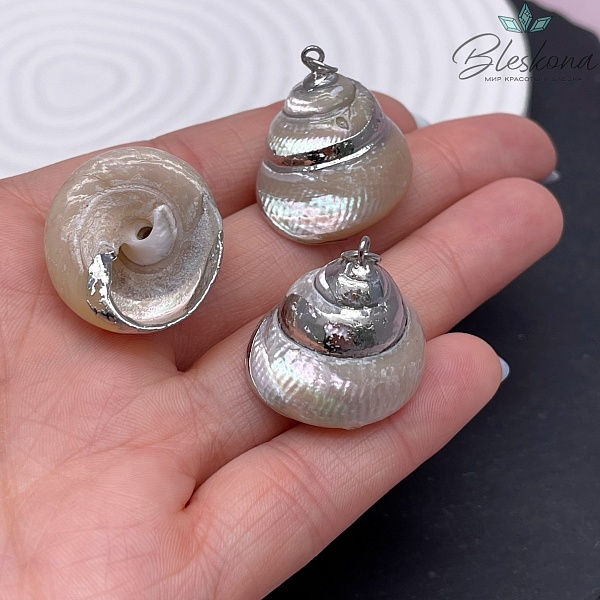 (20-25)*(20-25) мм Цвет серебро, Подвеска Ракушка кремовая