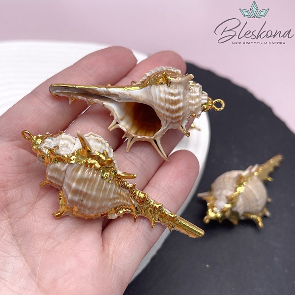 (55-65)*(28-31) мм, Цвет золото, Подвеска Ракушка
