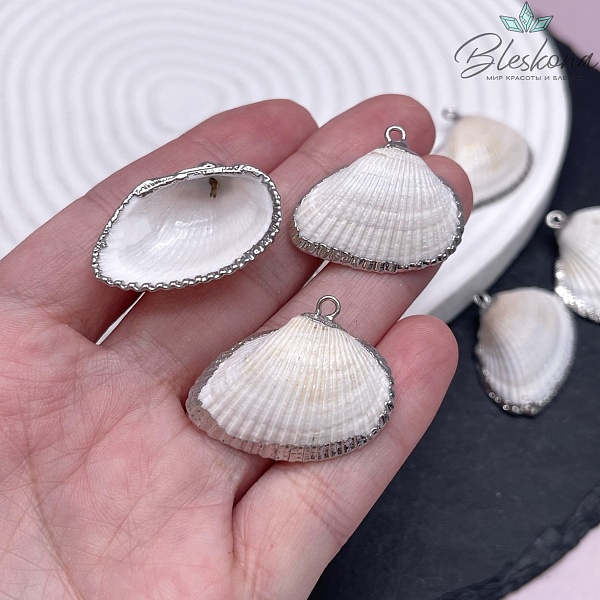 (22-25)*(29-34) мм, Цвет серебро, Подвеска Ракушка белая