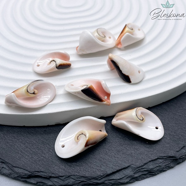 23*12 мм Коннектор- бусина из ракушки