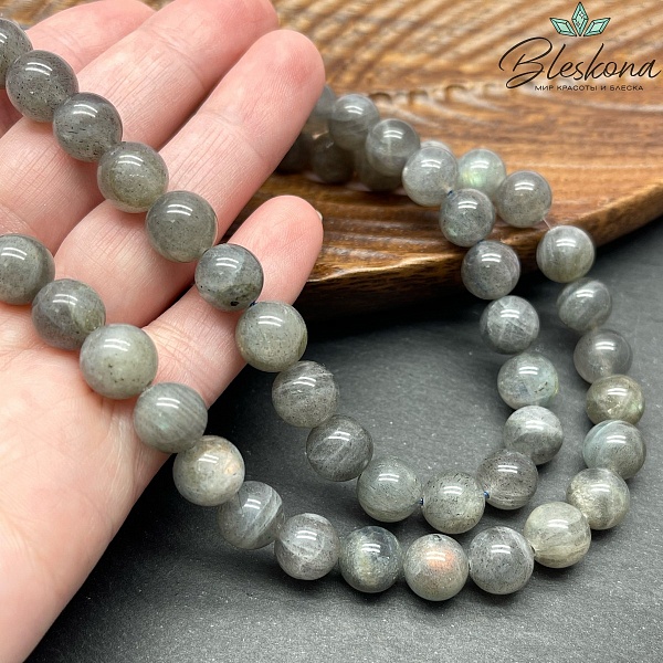 Лабрадор №3 10 мм