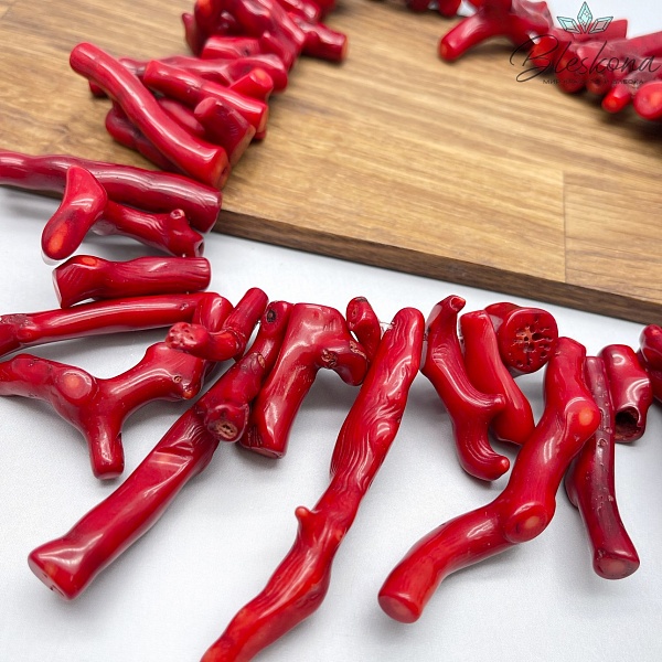 Коралл красный ветки на увеличение (Коралловые водоросли) 25-75 мм