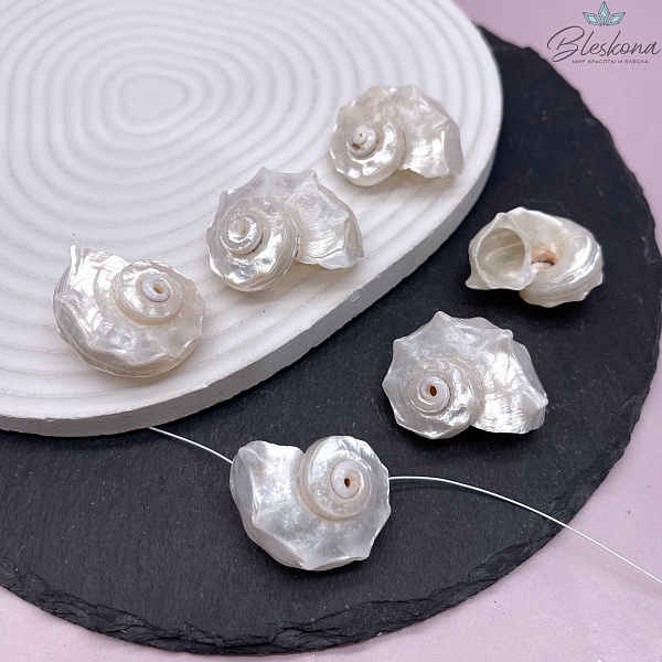 (30-36)*(22-26) мм Бусина ракушка белая