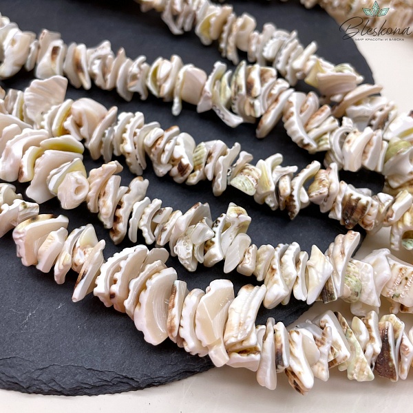 Ракушка ребристая сколы 15-20 мм