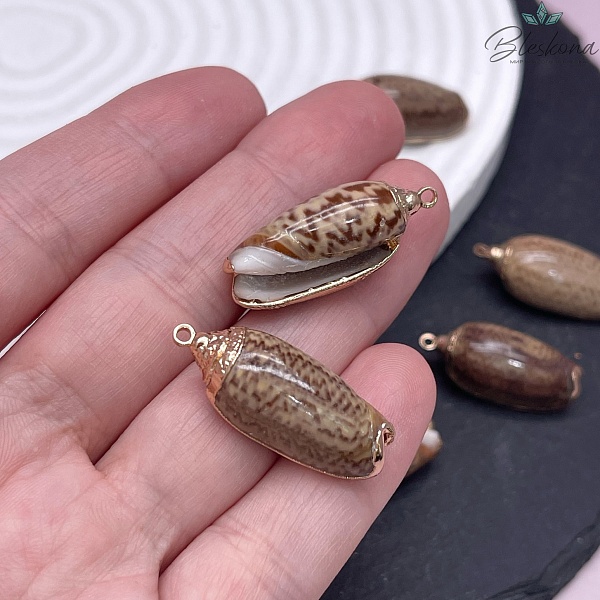 (26-31)*(11-13) мм, Цвет золото, Подвеска ракушка