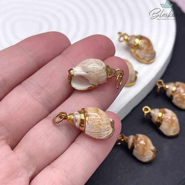(23-24)*(11-12) мм, Цвет золото, Подвеска Ракушка
