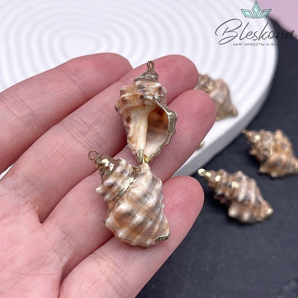(25-32)*(15-20) мм Цвет золото, Подвеска Ракушка кремовая