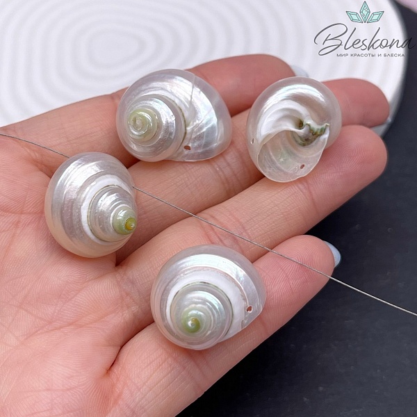 (21-25)*(16-20) мм, Подвеска Ракушка улитка белая
