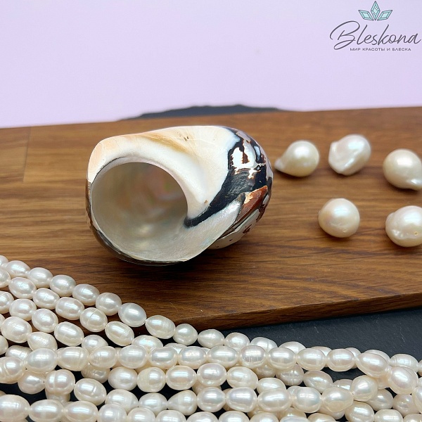 Морская раковина Турбо африканская  7 см 