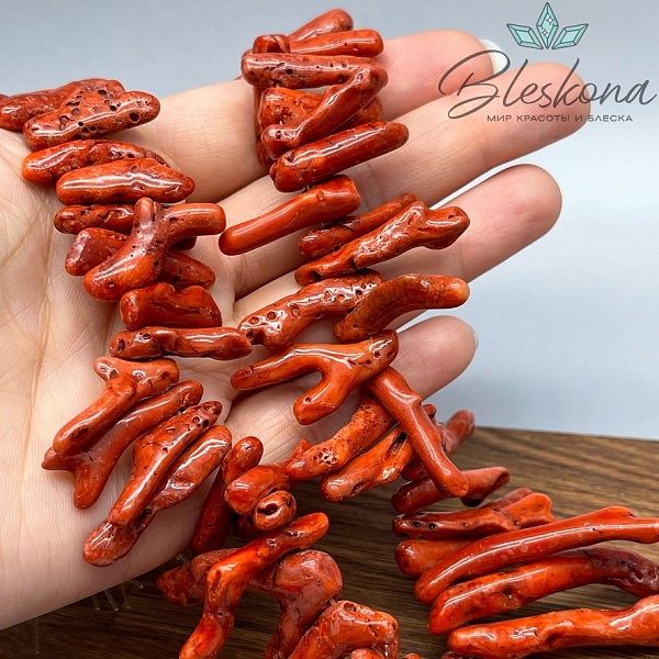 Коралл коричневый ветки на увеличение (Коралловые водоросли) 10-65 мм