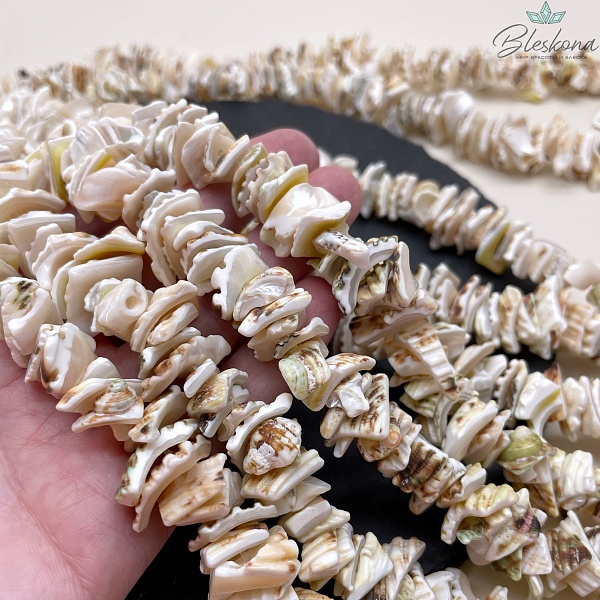 Ракушка ребристая сколы 15-20 мм