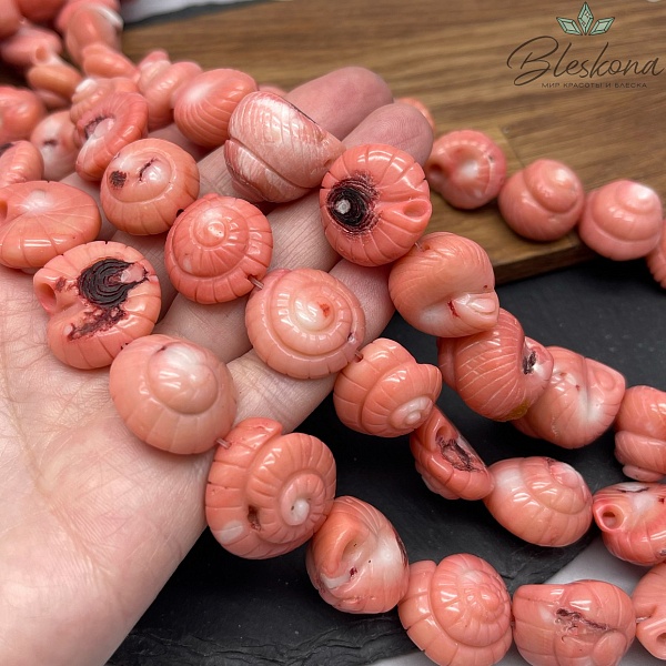 Коралл розовый ракушка (Коралловые водоросли) 17 мм