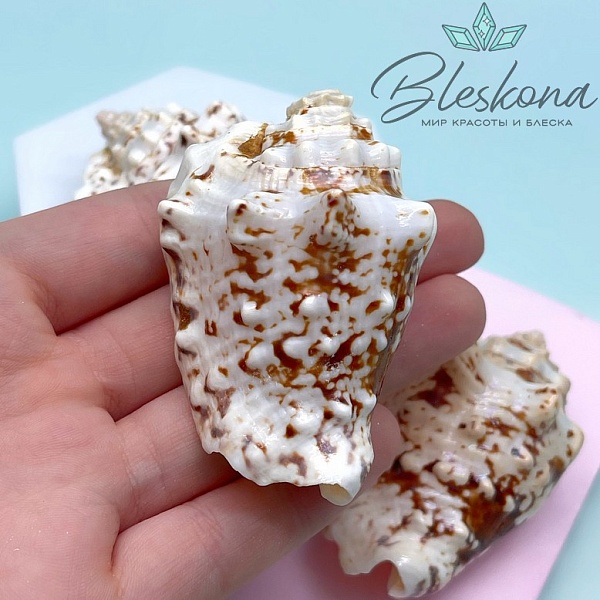 (55-70)*(35*40) мм, Подвеска ракушка