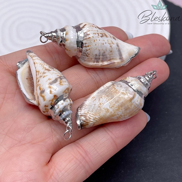 (36-47)*(14-20) мм Цвет серебро, Подвеска Ракушка кремовая